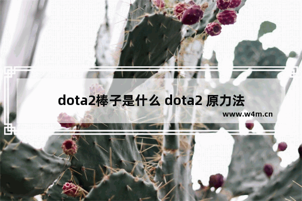 dota2棒子是什么 dota2 原力法杖