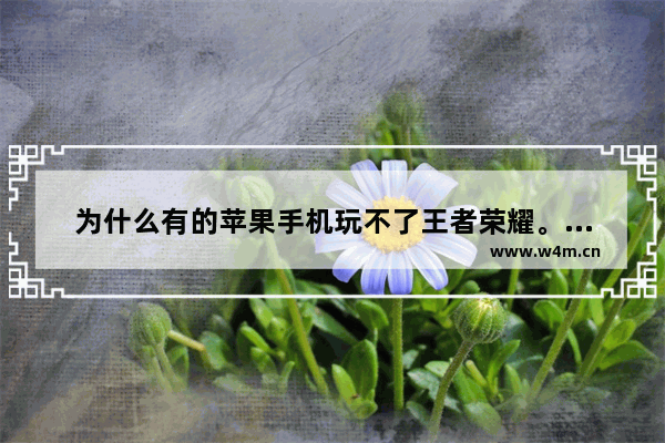 为什么有的苹果手机玩不了王者荣耀。怎样解决 苹果4王者荣耀能玩吗