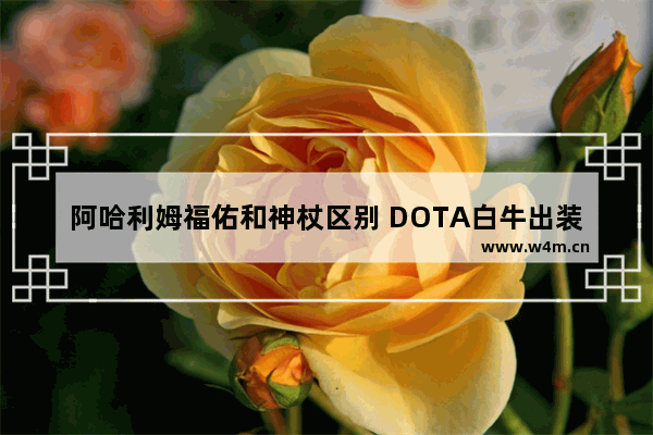 阿哈利姆福佑和神杖区别 DOTA白牛出装路线