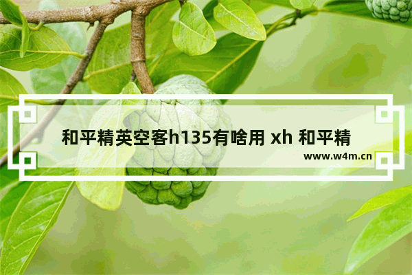 和平精英空客h135有啥用 xh 和平精英