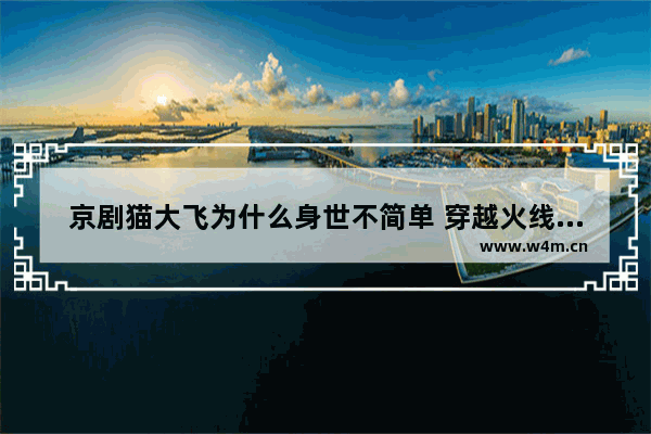 京剧猫大飞为什么身世不简单 穿越火线大飞辅助