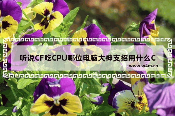 听说CF吃CPU哪位电脑大神支招用什么CPU好点呢 什么cpu玩cf好