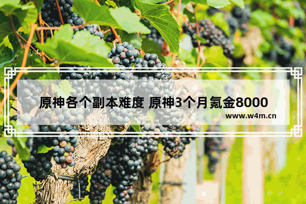 原神各个副本难度 原神3个月氪金8000正常吗