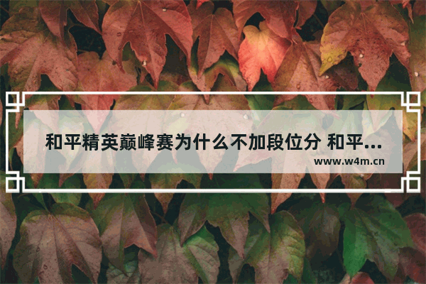 和平精英巅峰赛为什么不加段位分 和平精英为什么基础设置中没有隐私