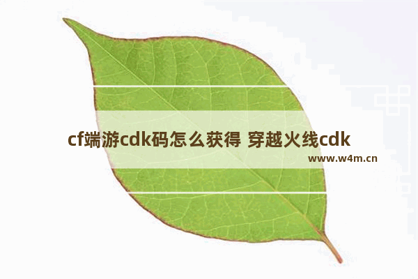 cf端游cdk码怎么获得 穿越火线cdk获取器