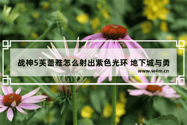 战神5芙蕾雅怎么射出紫色光环 地下城与勇士暗夜之眼光环