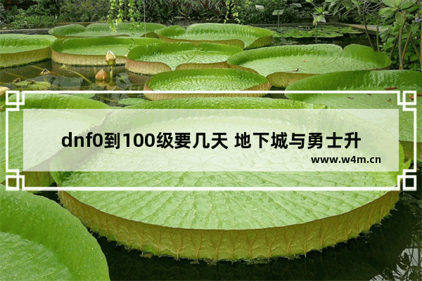 dnf0到100级要几天 地下城与勇士升110级要多久