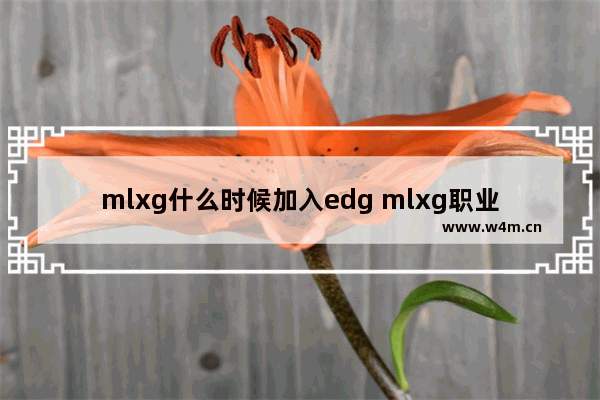 mlxg什么时候加入edg mlxg职业生涯总胜率