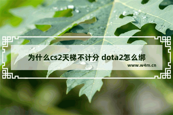 为什么cs2天梯不计分 dota2怎么绑定手机号