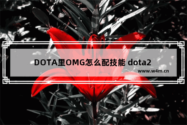 DOTA里OMG怎么配技能 dota2 omg 选技能