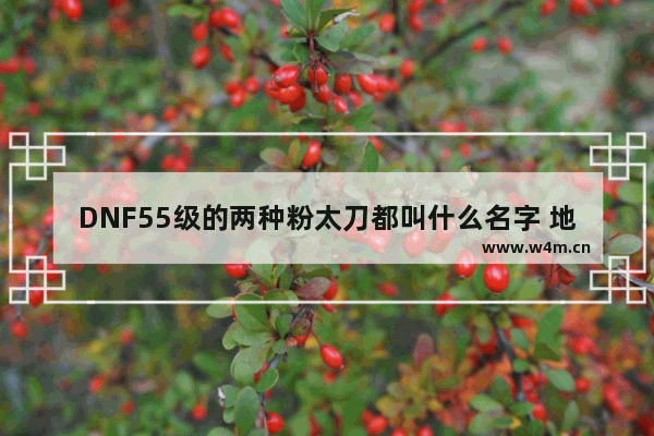 DNF55级的两种粉太刀都叫什么名字 地下城与勇士80级粉太刀