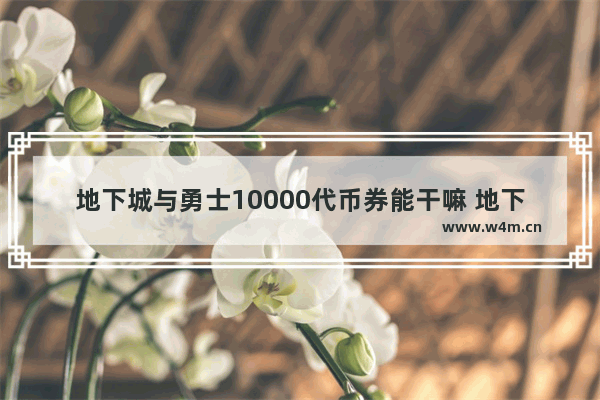 地下城与勇士10000代币券能干嘛 地下城15周年欢乐代币券能赠送吗