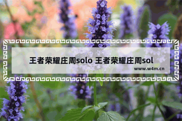 王者荣耀庄周solo 王者荣耀庄周solo