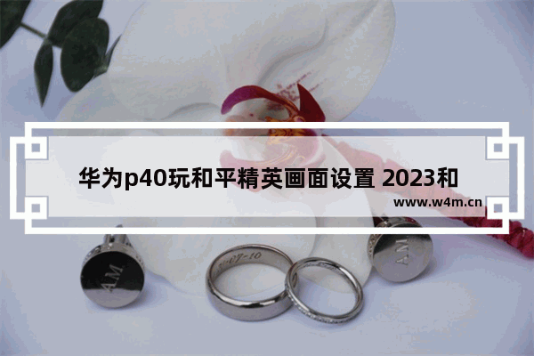 华为p40玩和平精英画面设置 2023和平精英捏脸如何在海岛显示