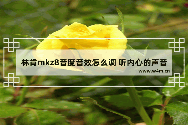 林肯mkz8音度音效怎么调 听内心的声音的文案