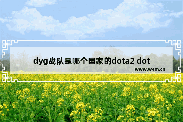 dyg战队是哪个国家的dota2 dota2 秋季赛时间