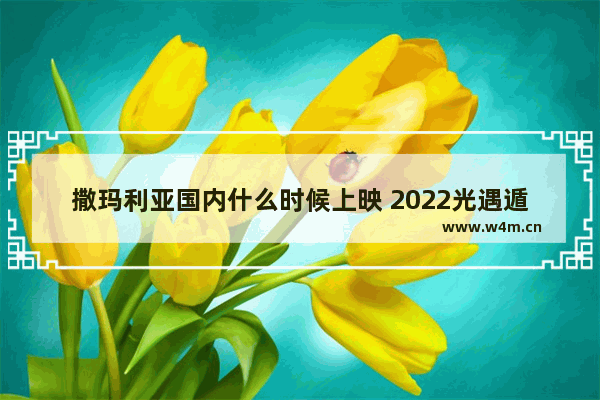 撒玛利亚国内什么时候上映 2022光遇遁地