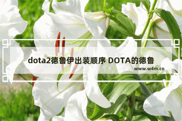 dota2德鲁伊出装顺序 DOTA的德鲁伊怎么出装（初期中期后期都说一下）