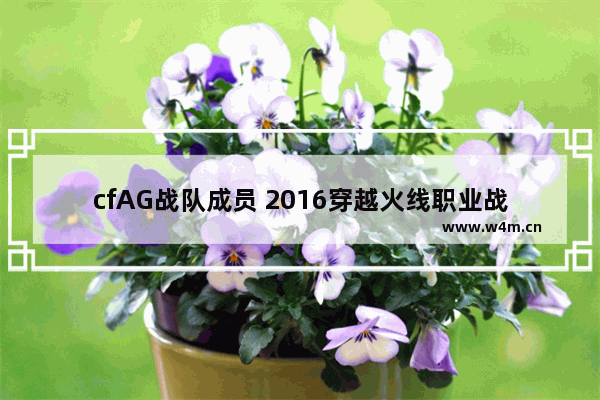 cfAG战队成员 2016穿越火线职业战队