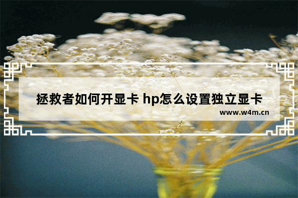 拯救者如何开显卡 hp怎么设置独立显卡