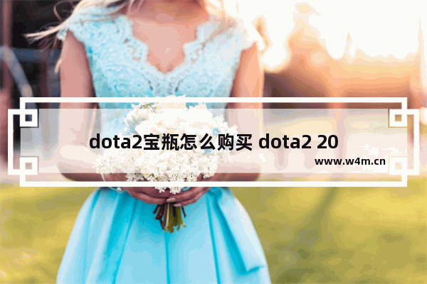 dota2宝瓶怎么购买 dota2 2017宝瓶