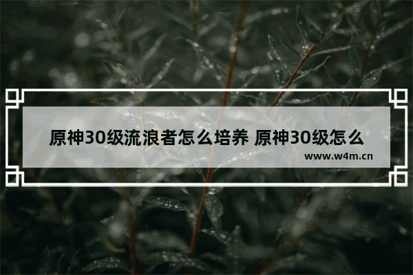 原神30级流浪者怎么培养 原神30级怎么快速提升战力