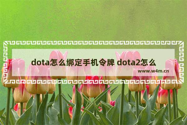 dota怎么绑定手机令牌 dota2怎么启用安全令牌