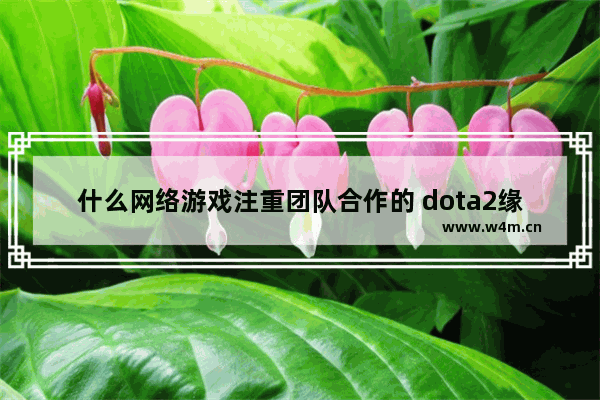 什么网络游戏注重团队合作的 dota2缘分什么意思