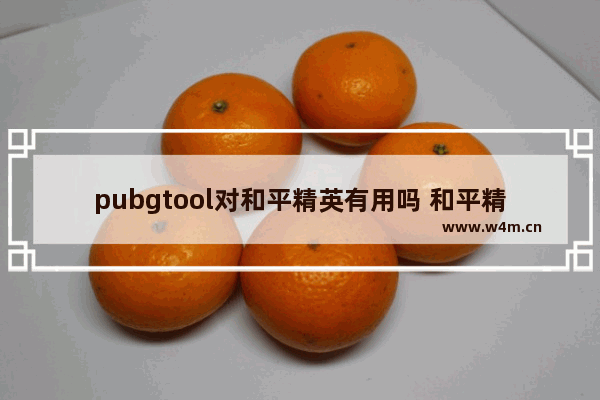 pubgtool对和平精英有用吗 和平精英 tool