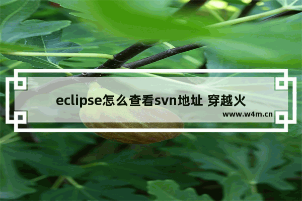 eclipse怎么查看svn地址 穿越火线svn9