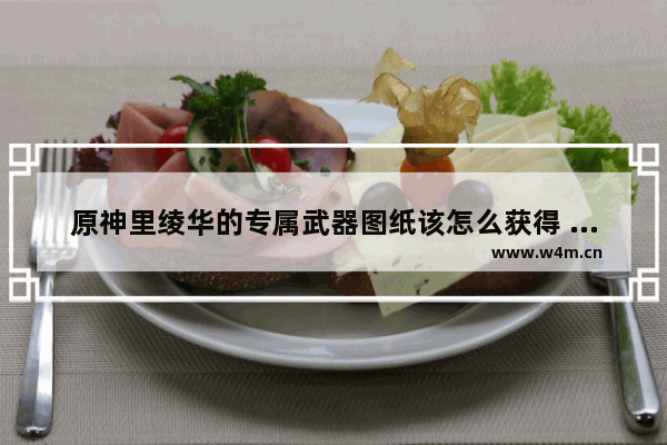 原神里绫华的专属武器图纸该怎么获得 原神食物派送攻略