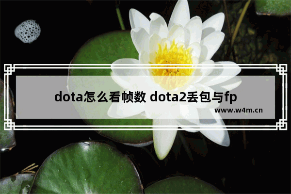 dota怎么看帧数 dota2丢包与fps