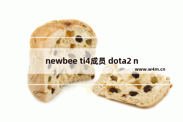 newbee ti4成员 dota2 newbee ti4