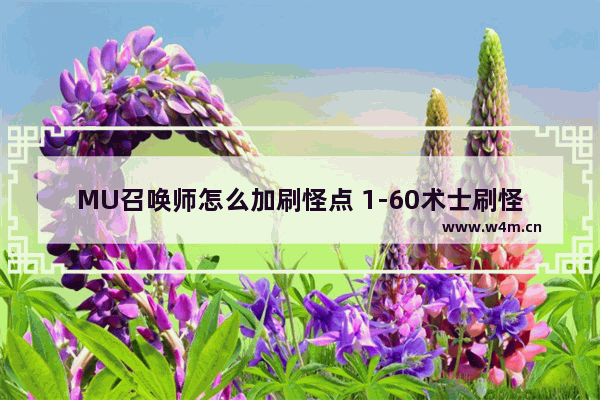 MU召唤师怎么加刷怪点 1-60术士刷怪升级攻略