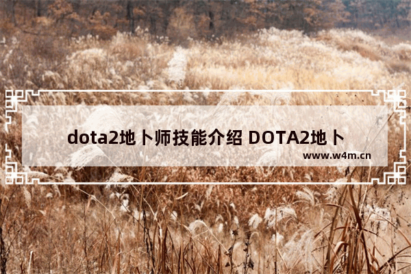 dota2地卜师技能介绍 DOTA2地卜师怎么玩（5狗）