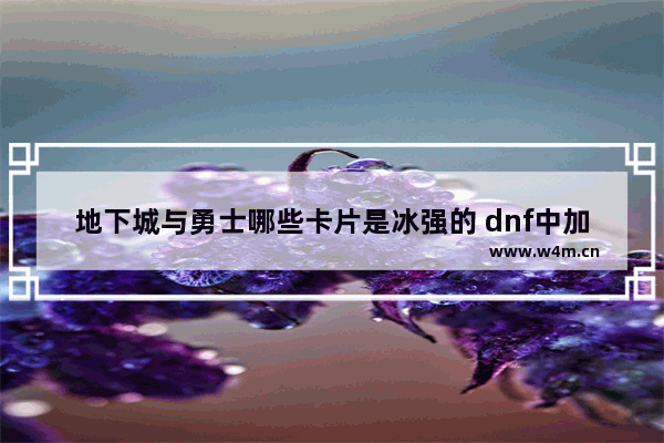 地下城与勇士哪些卡片是冰强的 dnf中加冰强的卡片都有哪些