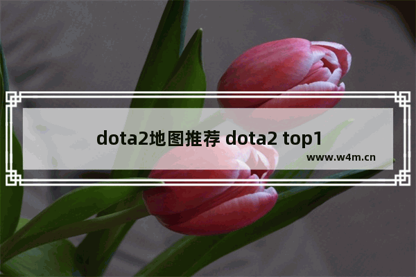 dota2地图推荐 dota2 top10 82