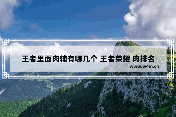 王者里面肉辅有哪几个 王者荣耀 肉排名