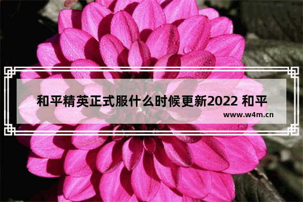 和平精英正式服什么时候更新2022 和平精英2022520