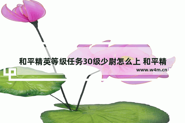 和平精英等级任务30级少尉怎么上 和平精英 奉守