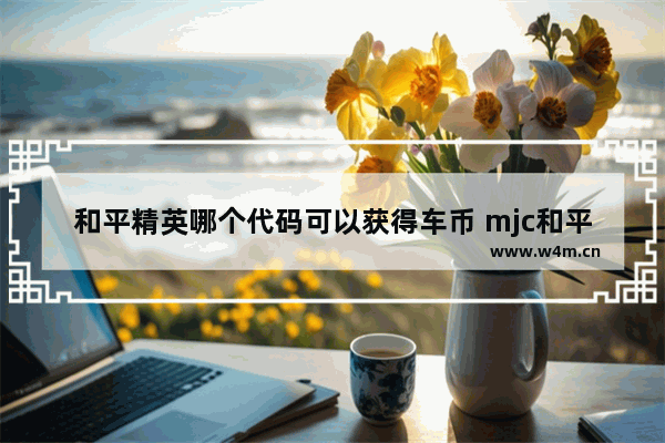 和平精英哪个代码可以获得车币 mjc和平精英