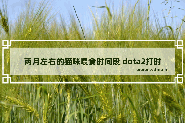 两月左右的猫咪喂食时间段 dota2打时间表