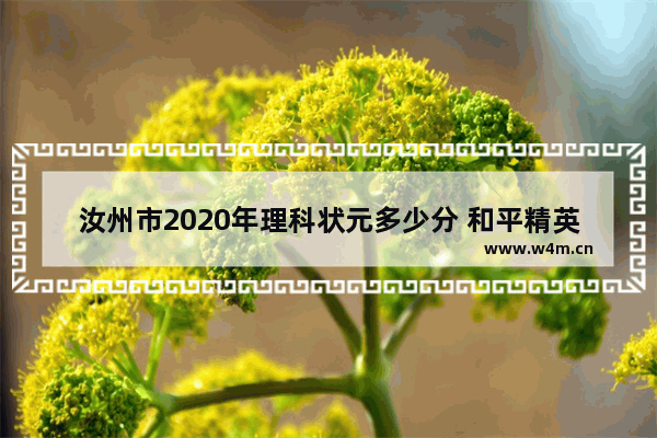 汝州市2020年理科状元多少分 和平精英661