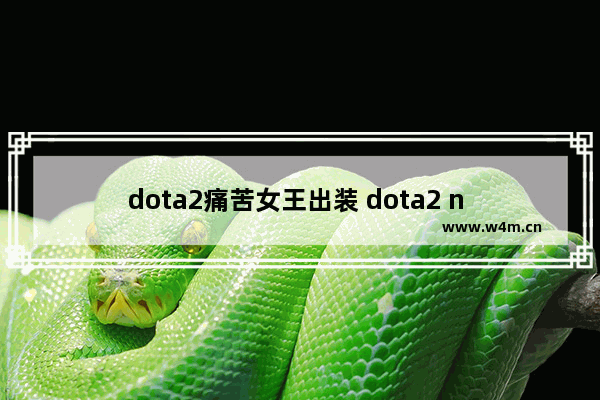 dota2痛苦女王出装 dota2 n h vh局 的标准是什么