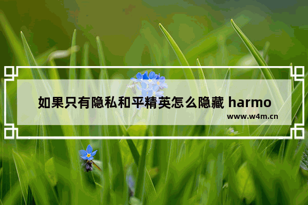 如果只有隐私和平精英怎么隐藏 harmonyos怎么隐藏和平精英