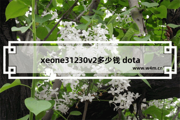 xeone31230v2多少钱 dota2 4000多少钱