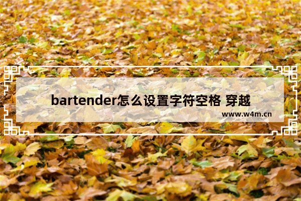 bartender怎么设置字符空格 穿越火线名字空格怎么打印