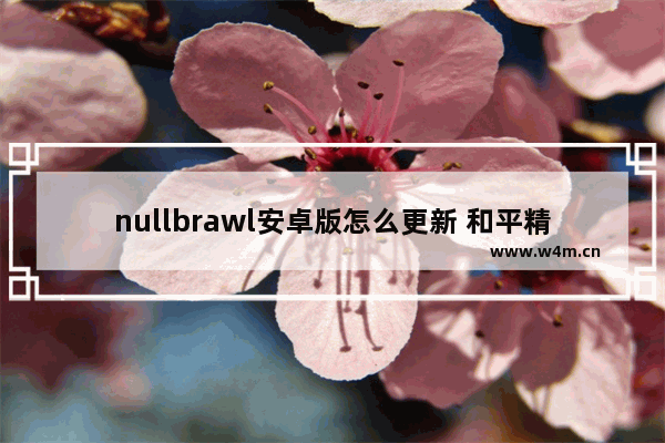 nullbrawl安卓版怎么更新 和平精英null