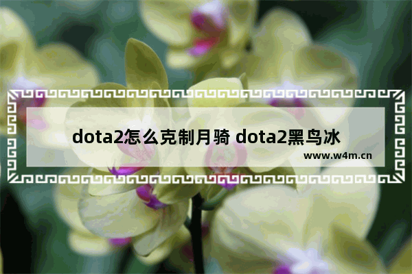 dota2怎么克制月骑 dota2黑鸟冰眼