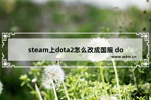 steam上dota2怎么改成国服 dota2 改服务器